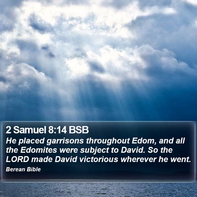 2 Samuel 8:14 BSB Bible Verse Image