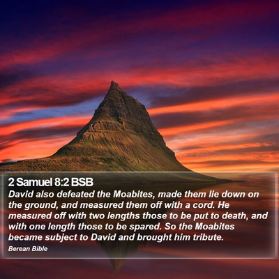2 Samuel 8:2 BSB Bible Verse Image