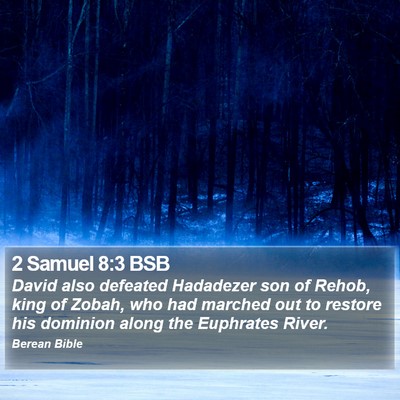 2 Samuel 8:3 BSB Bible Verse Image