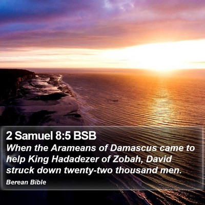 2 Samuel 8:5 BSB Bible Verse Image