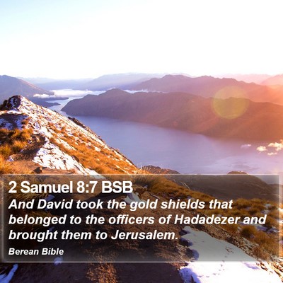 2 Samuel 8:7 BSB Bible Verse Image