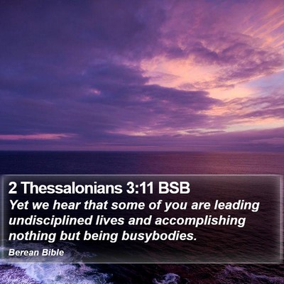 2 Thessalonians 3:11 BSB Bible Verse Image