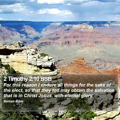 2 Timothy 2:10 BSB Bible Verse Image