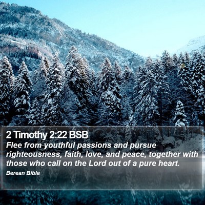 2 Timothy 2:22 BSB Bible Verse Image