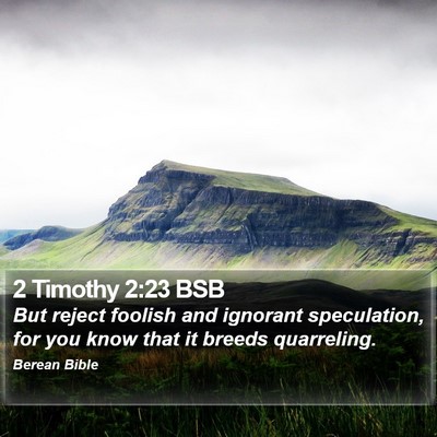 2 Timothy 2:23 BSB Bible Verse Image