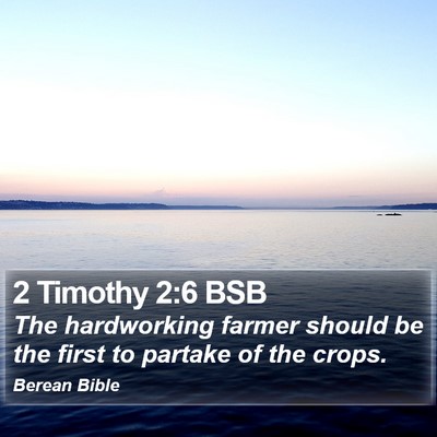 2 Timothy 2:6 BSB Bible Verse Image