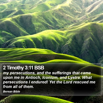 2 Timothy 3:11 BSB Bible Verse Image