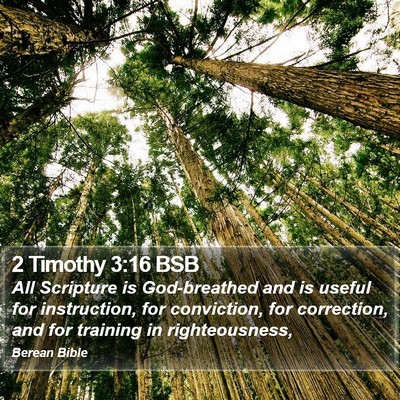 2 Timothy 3:16 BSB Bible Verse Image