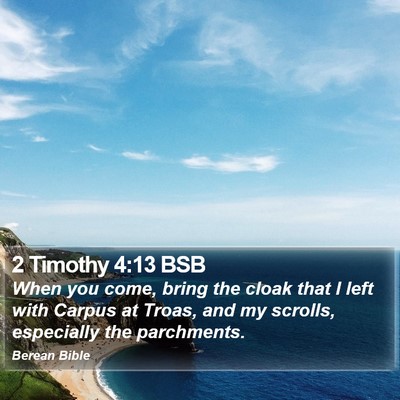 2 Timothy 4:13 BSB Bible Verse Image