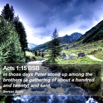 Acts 1:15 BSB Bible Verse Image
