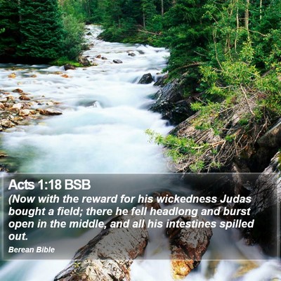 Acts 1:18 BSB Bible Verse Image