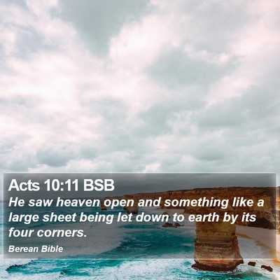 Acts 10:11 BSB Bible Verse Image