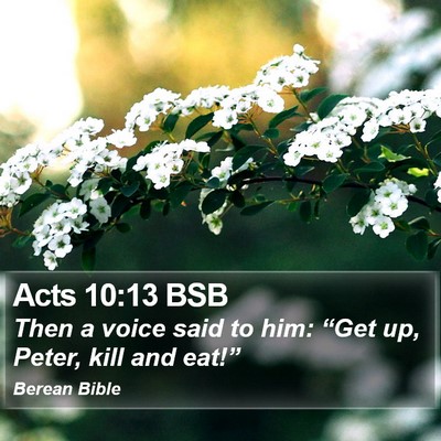 Acts 10:13 BSB Bible Verse Image