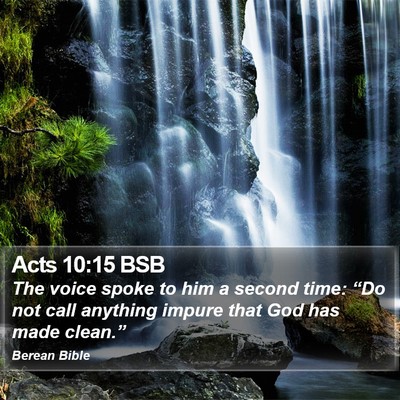 Acts 10:15 BSB Bible Verse Image