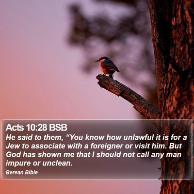 Acts 10:28 BSB Bible Verse Image
