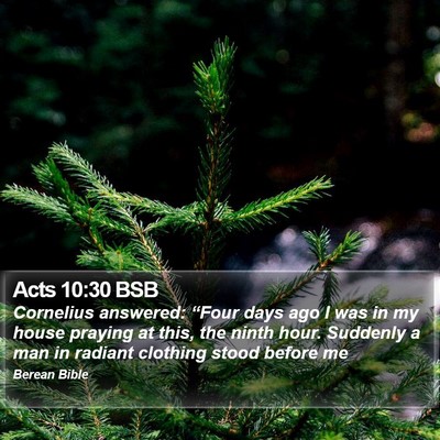Acts 10:30 BSB Bible Verse Image