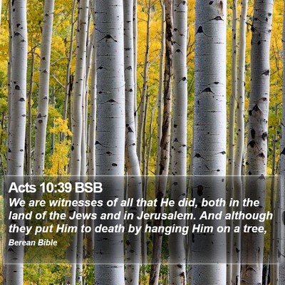 Acts 10:39 BSB Bible Verse Image
