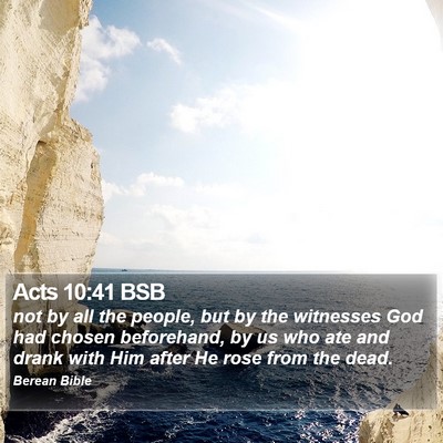 Acts 10:41 BSB Bible Verse Image