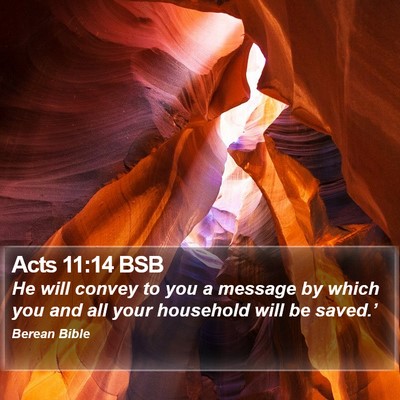 Acts 11:14 BSB Bible Verse Image
