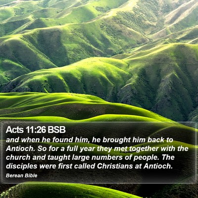 Acts 11:26 BSB Bible Verse Image