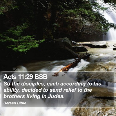 Acts 11:29 BSB Bible Verse Image