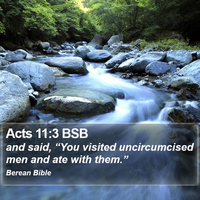 Acts 11:3 BSB Bible Verse Image