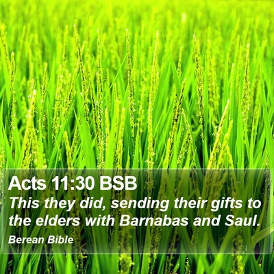 Acts 11:30 BSB Bible Verse Image