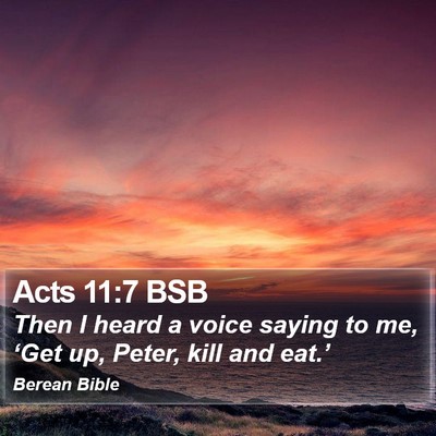 Acts 11:7 BSB Bible Verse Image