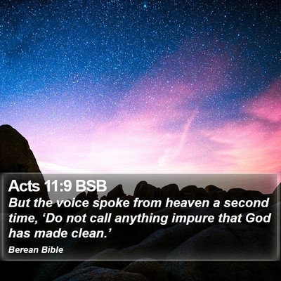Acts 11:9 BSB Bible Verse Image