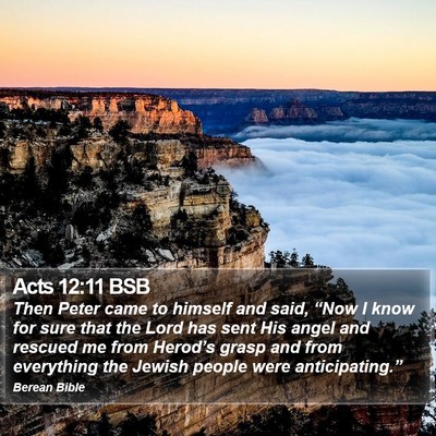 Acts 12:11 BSB Bible Verse Image