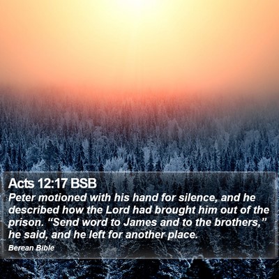 Acts 12:17 BSB Bible Verse Image