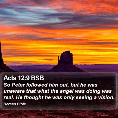 Acts 12:9 BSB Bible Verse Image