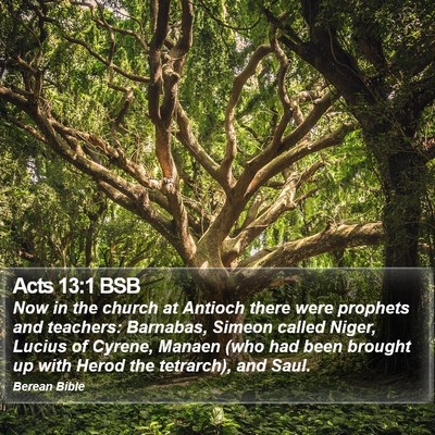 Acts 13:1 BSB Bible Verse Image