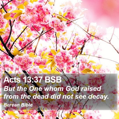 Acts 13:37 BSB Bible Verse Image