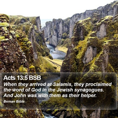 Acts 13:5 BSB Bible Verse Image
