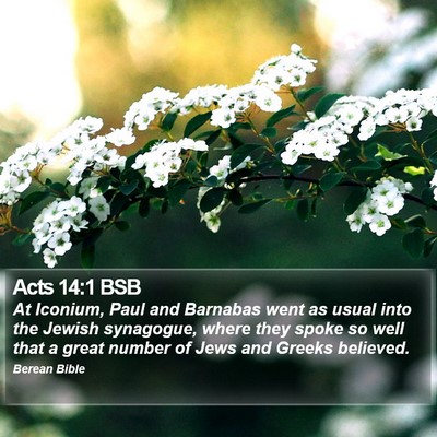 Acts 14:1 BSB Bible Verse Image