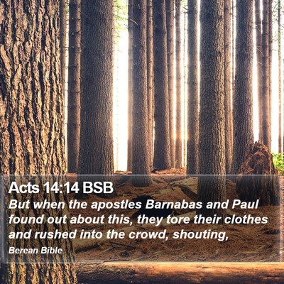 Acts 14:14 BSB Bible Verse Image