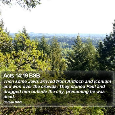 Acts 14:19 BSB Bible Verse Image