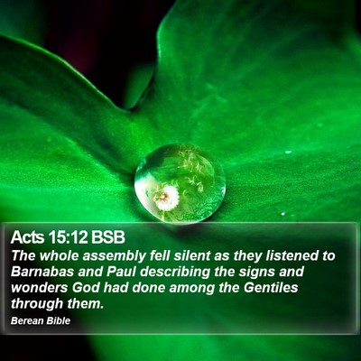 Acts 15:12 BSB Bible Verse Image