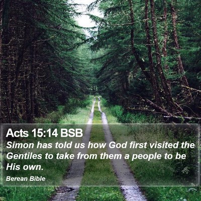 Acts 15:14 BSB Bible Verse Image