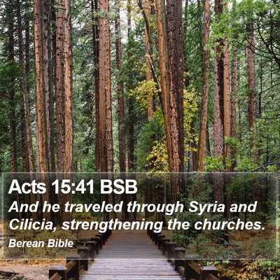 Acts 15:41 BSB Bible Verse Image