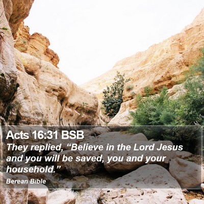 Acts 16:31 BSB Bible Verse Image