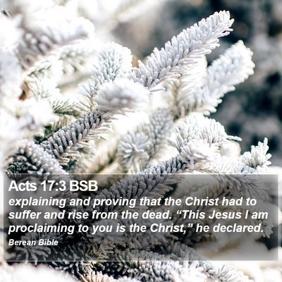 Acts 17:3 BSB Bible Verse Image