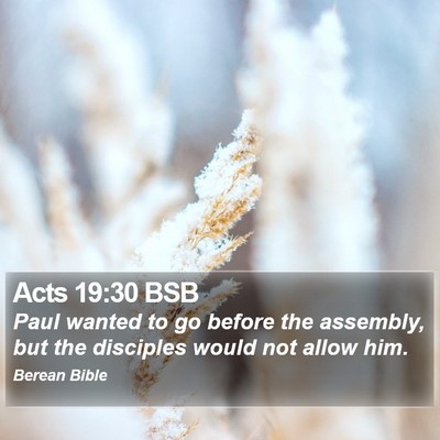 Acts 19:30 BSB Bible Verse Image