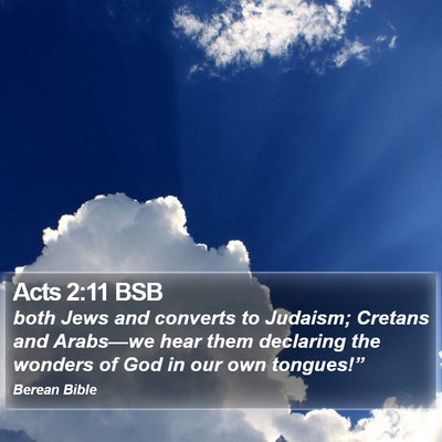 Acts 2:11 BSB Bible Verse Image