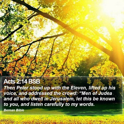 Acts 2:14 BSB Bible Verse Image