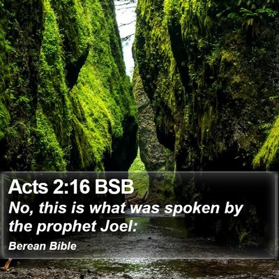 Acts 2:16 BSB Bible Verse Image
