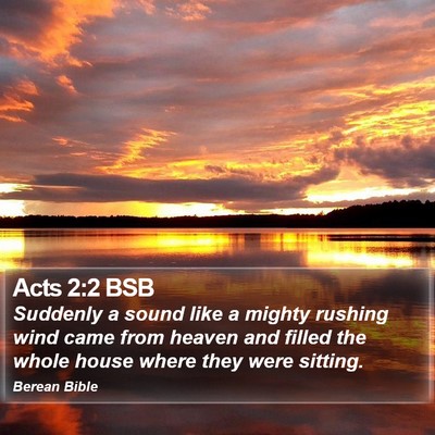 Acts 2:2 BSB Bible Verse Image