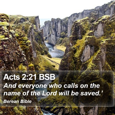 Acts 2:21 BSB Bible Verse Image
