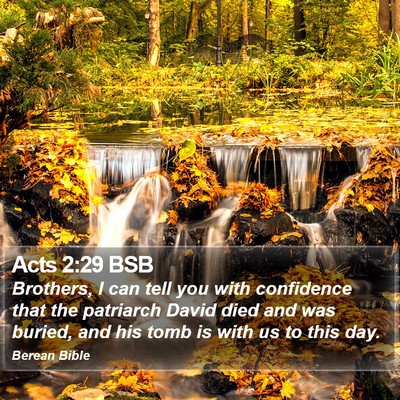Acts 2:29 BSB Bible Verse Image